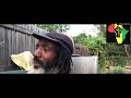BROTHER KWAKU THE MAJORITY OF BLACK PEOPLE WILL FIGHT TOOTH NAIL TO REMAIN IN THE SYSTEM