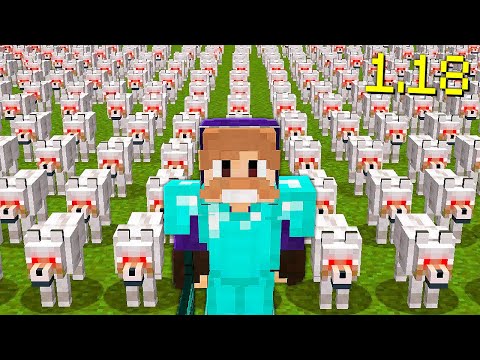 100 WOLVES AGAINST a SERVER in MINECRAFT