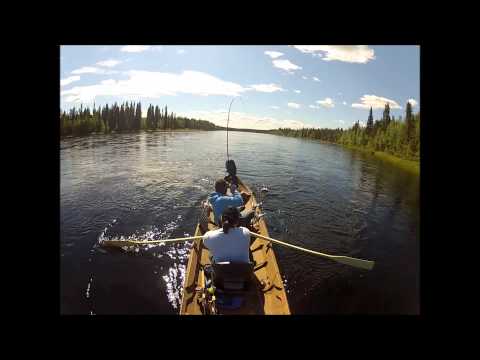Lohensoutu, Pakamukka 2012