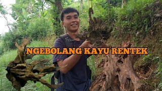 Download lagu HUNTING KAYU RENTEK mp3 Download lagu HUNTING KAYU RENTEK mp3