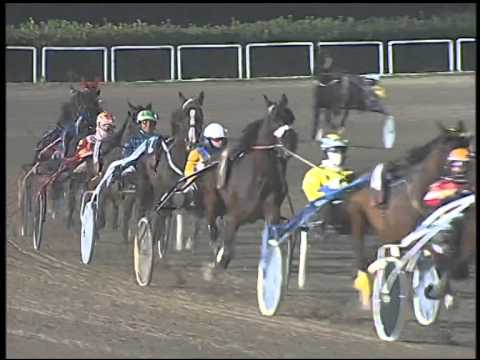 Trotto 15/01/2015 - 7° Corsa