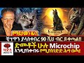 የማይታመን ዜና ️የሐገሪቱ ድመቶች ሁሉ Microchip እንዲያስቀብሩ 