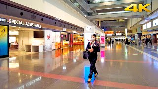Download lagu Haneda International Airport: Terminal 1 Walking Tour - Tokyo Japan 2024・4K mp3 Download lagu Haneda International Airport: Terminal 1 Walking Tour - Tokyo Japan 2024・4K mp3