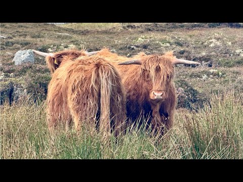 Road trip Outer Hebrides 2025
