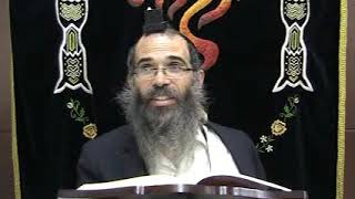 הרב אלחנן לבהר דף היומי מסכת תמורה דף יד '