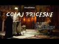 COLAJ PRICESNE Filothea
