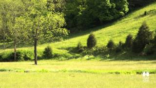 Life Purpose - Monday Meditations