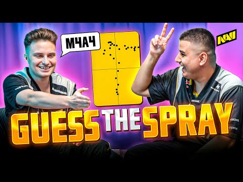 Guess the Gun Spray | NAVI Challenge