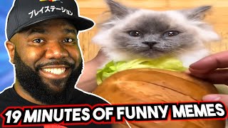 19 Minutes of FUNNY Memes NemRaps Try Not to Laugh 367