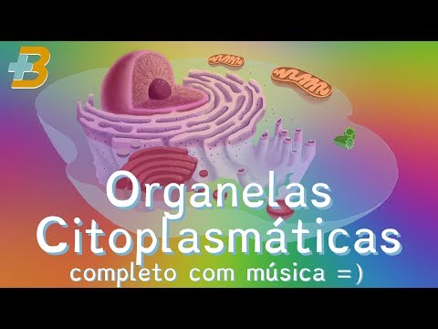 Complete Cytoplasmic Organelles (organized by cellular sources in More Biology with Roger Maia)