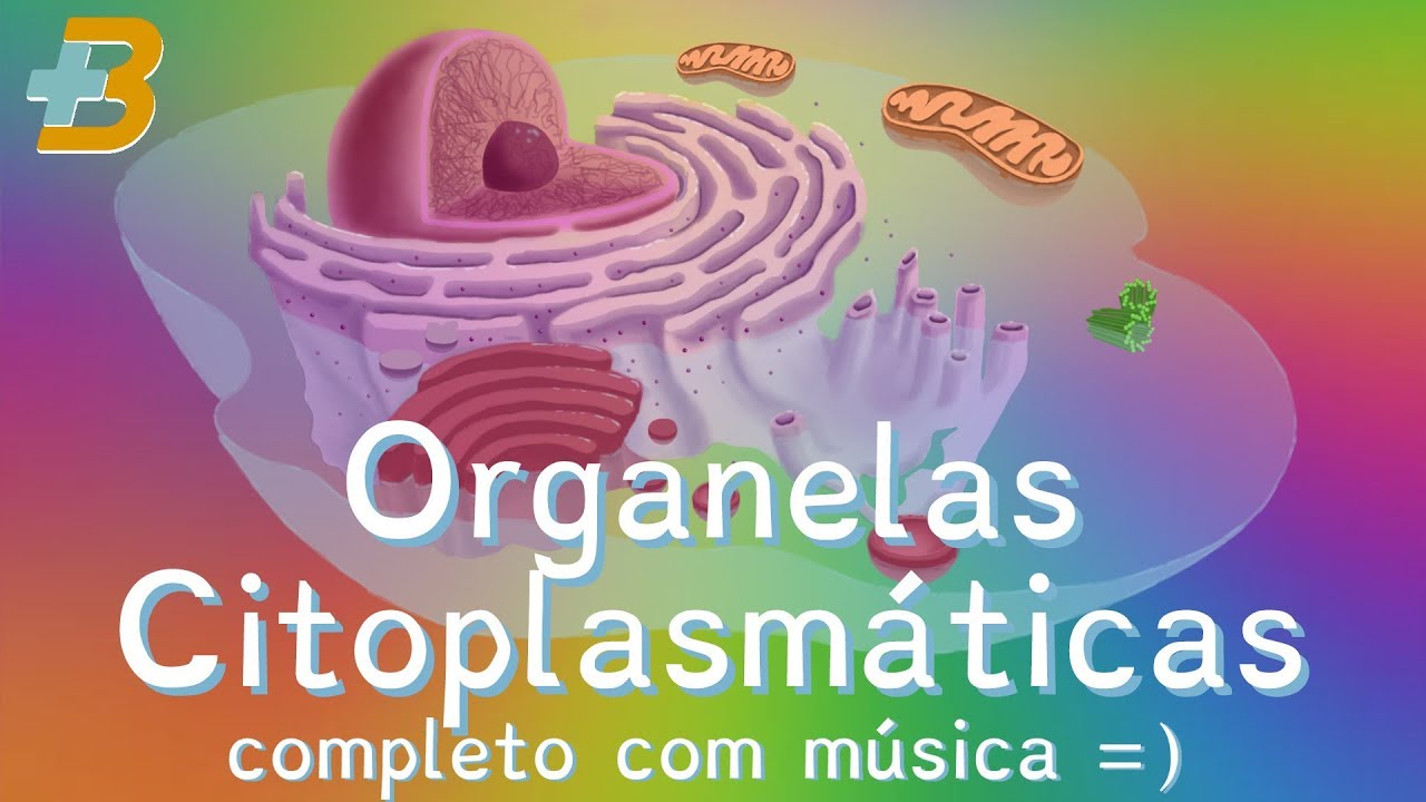 Organelas Citoplasmáticas COMPLETO (org. celulares em Mais Biologia com Roger Maia)