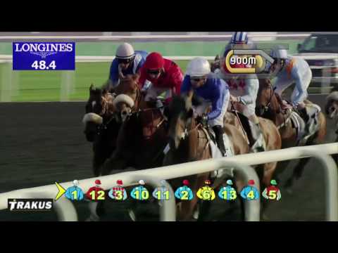 Race 2 - Godolphin Mile Sponsored By Meydan Sobha