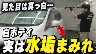 【誰でも簡単】白ボケした無塗装樹脂復活！メッキやボディの水アカを除去できる手洗い洗車を教えます【ホンダ オデッセイ ミニバン】
