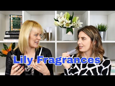 download lagu mp3 mp4 Lily Flower Fragrance, download lagu Lily Flower Fragrance gratis, unduh video klip Lily Flower Fragrance
