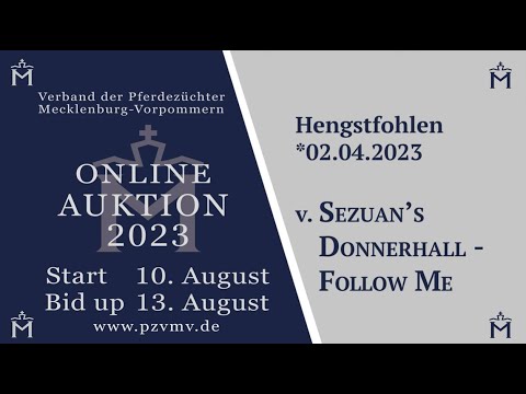 Nr. 16 v. Sezuan’s Donnerhall/Follow Me