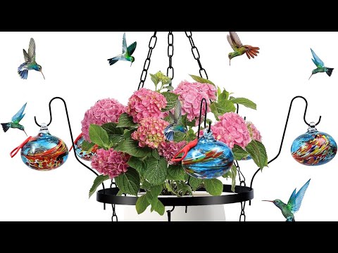 HEADAK LIFE Hand Blown Glass Hummingbird Feeders for Outdoors with Hanging Planter