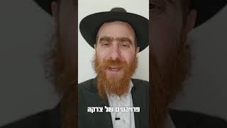 תתרום ותרתום! קצר ולענין פרשת תרומה - שקלים עם הרב יחיאל גלוכובסקי (הרב יחיאל גלוכובסקי) - התמונה מוצגת ישירות מתוך אתר האינטרנט יוטיוב. זכויות היוצרים בתמונה שייכות ליוצרה. קישור קרדיט למקור התוכן נמצא בתוך דף הסרטון
