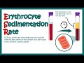 Erythrocyte Sedimentation Rate | ESR | What does ESR test show?| What does high ESR means?