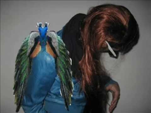 BlackBambi - Treasure The Peacock