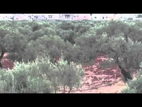 استهداف  قوات النظام من قبل كتيبة آل البيت في الفوعة في محافظة إدلب