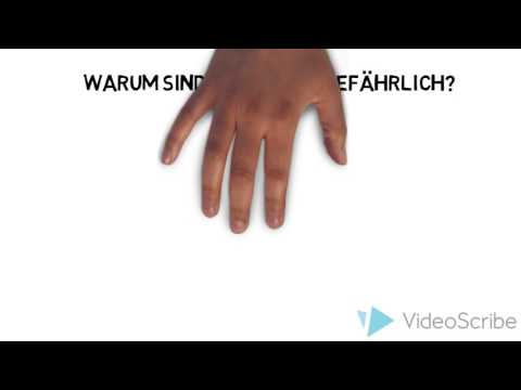 Biologie-Projekt: Parasiten