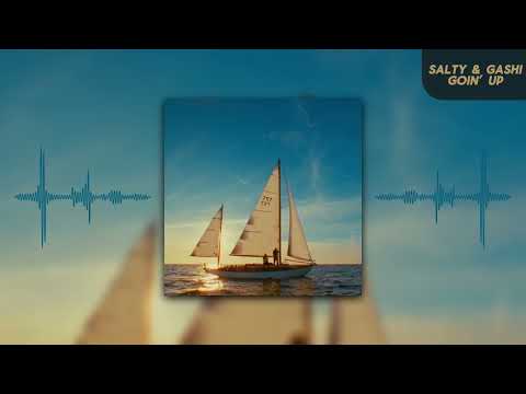 Salty & GASHI - Goin Up (Visualizer)