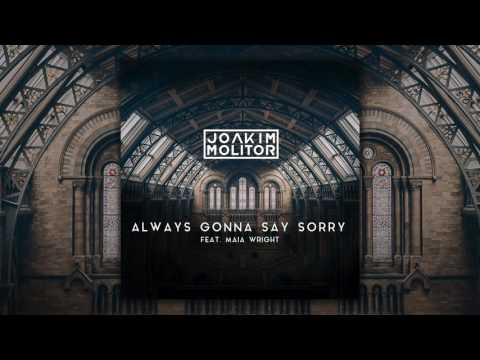 Joakim Molitor - Always Gonna Say Sorry [feat. Maia Wright] (Official Audio)