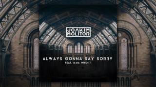 Joakim Molitor - Always Gonna Say Sorry [feat. Maia Wright] (Audio)
