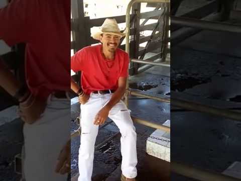 Baiano no desespero por causa de mulher