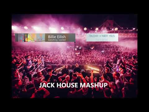 Tinlicker X Robert Miles, Billie Eilish - Children / everything i wanted  [Mashup]