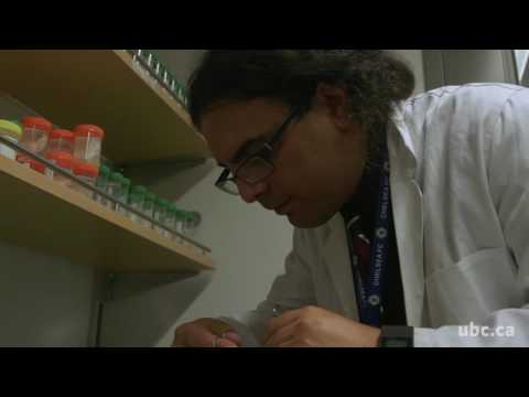 Synthetic heart valves will help doctors improve surgical skills