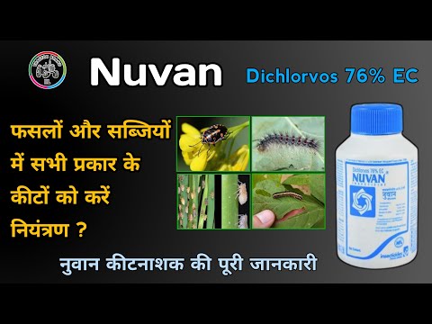 Nupvan Dichlorovos 76% EC Insecticide