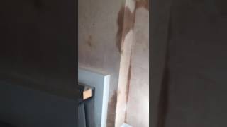 Video after plastering and skirts
