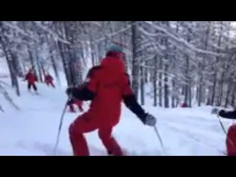 CUCCIOLI CON CAMILLA ALFIERI