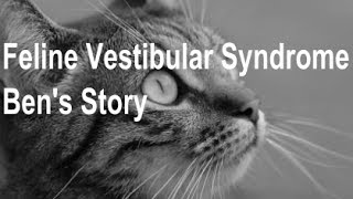Feline Vestibular Syndrome - Ben's Story
