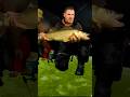 Video Thumbnail for Big walleye on thin ice #fishshimano @fishfrostbite @EskimoIceFishingGear