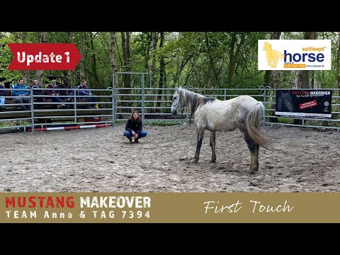 MUSTANG MAKEOVER 2022 - First Touch mit einem wilden Mustang 🐴 |Team Anna Update 1