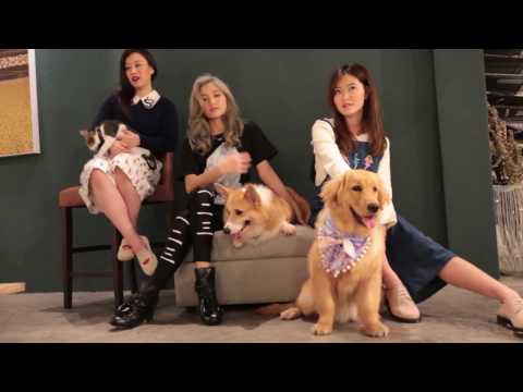 Pets Magazine April/May 2017 with Eunice Annabel, Christabel Chua, and Bella Koh