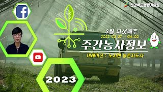 [ 주간농사정보 ] 3월 5째주 (2023. 03. 26. ~ 04. 02.)