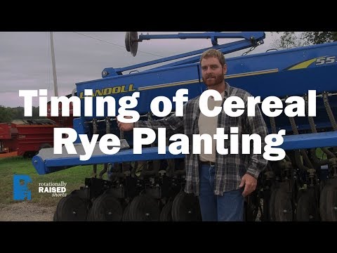 Timing of Cereal Rye Planting