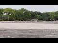 Seagulls Have A Parking Lot Meeting