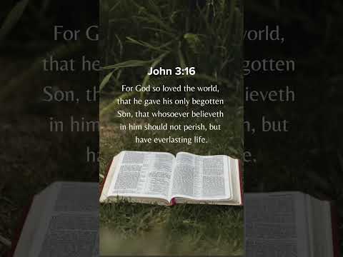 The Love that saved the world✝️#christian #faith #bibleverse #youtubeshorts #shortsfeed #love #fyp