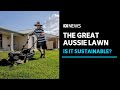 Is the 'great Australian lawn' at risk of extinction? | ABC News