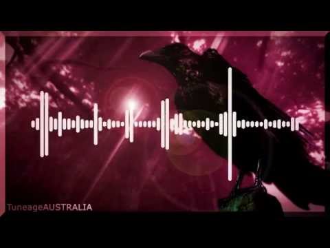 Maya Jane Coles - Everything (ft. Karin Park)