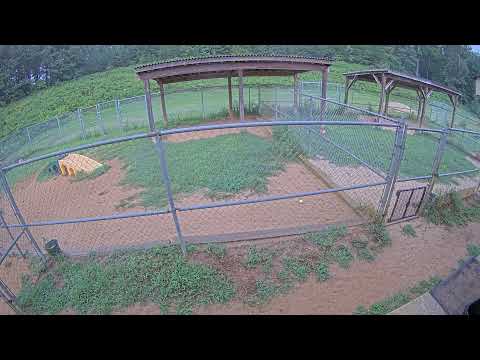 Yard 10 - 08/27/2021