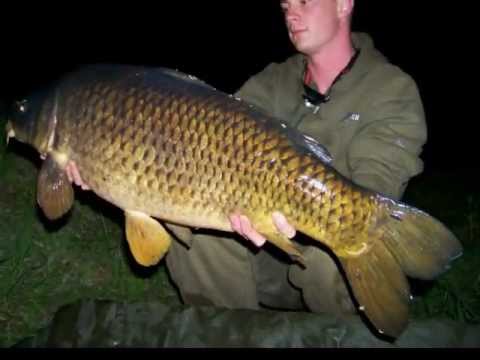 Best of Team Mongo 2010/2011 BIG CARP´s 52lbs #carpfishing #carphunter #carplife #boilies #bigcarp