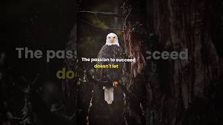 Sigma Rule 🔥 the passion to succeed 🔥#motivation #motivationalquotes #shorts