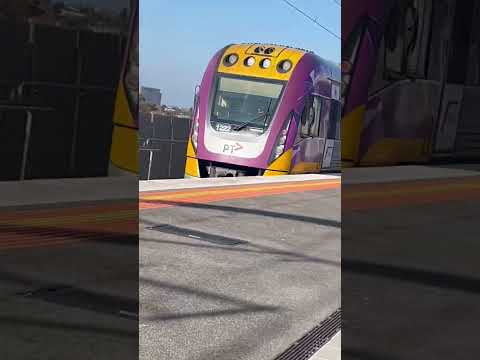 v-line velocity at carnegie