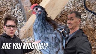 He stole them! @grandpadossfarms