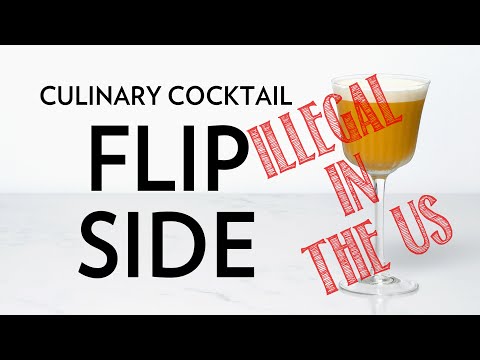 Flip Side – The Educated Barfly